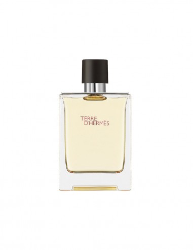 Terre d'Hermès EDT-Perfumes de hombre